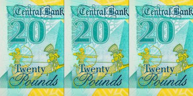 20 Pound Mısır 'da Kraliçe Kleopatra ve Büyük Piramitlerin portresi var. Mısır 'ın ulusal para birimi. Polimer para.