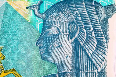 20 Pound Mısır 'da Kraliçe Kleopatra ve Büyük Piramitlerin portresi var. Mısır 'ın ulusal para birimi. Polimer para.