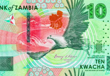 10 Kwacha Zambiya 'da baraj ve kartal resmi var. Zambiya ve Afrika 'nın parası.