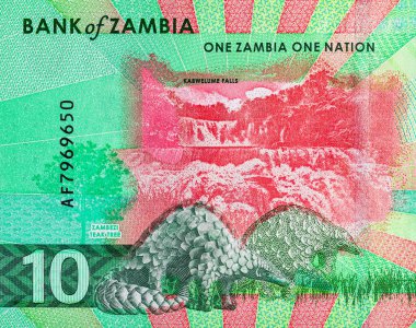 Kabwell Şelalesi 'nin görüntüsüne sahip 10 Kwacha Zambiya. Zambiya ve Afrika 'nın parası.