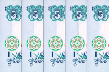 İçinde Hetman Bohdan Khmelnytsky 'nin portresi olan 5 Hryvnia banknotunun bir parçası. Ukrayna 'nın kağıt parası.