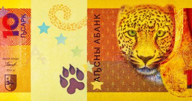 10 Apsar Abhazya, beyaz leopar resmi ve bronz bir balta. Abhazya 'nın tanınmayan cumhuriyeti. Abhazya 'nın Parası.