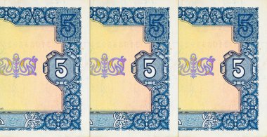 İçinde Hetman Bohdan Khmelnytsky 'nin portresi olan 5 Hryvnia banknotunun bir parçası. Ukrayna 'nın kağıt parası.