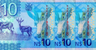 Namibya 10 dolar 2025 sentlik Springbok antilobu resmi. Yeni Namibya parası.