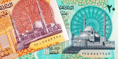 20 pound ve 10 pound Mısır. Mısır 'ın ulusal para birimi. Polimer para.