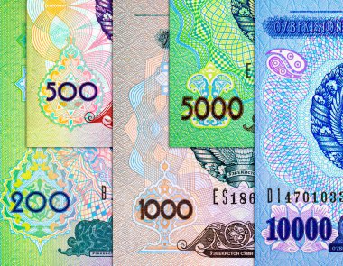 Som Özbekistan 'ın çeşitli banknotları. Özbekistan 'ın Kağıt Parası.
