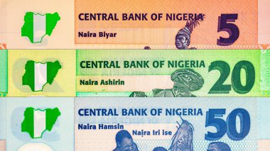 Naira Nijerya 'nın çeşitli banknotları. Afrika 'nın parası. Nijerya 'nın yeni polimer parası