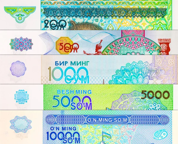 200 Som Özbekistan, Sher-Dor Madrasah 'da Semerkant' ta bir kaplan mozaiğine sahip. Özbekistan 'ın Parası.