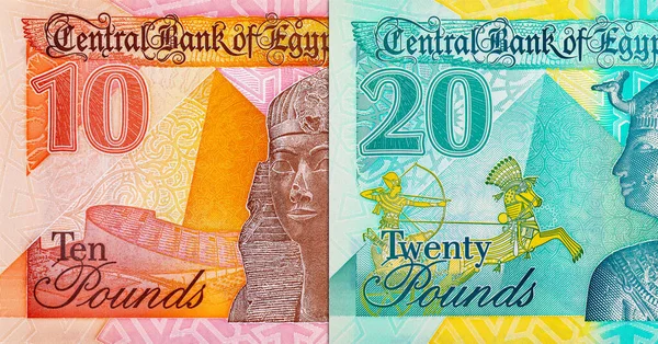 20 pound ve 10 pound Mısır. Mısır 'ın ulusal para birimi. Polimer para.