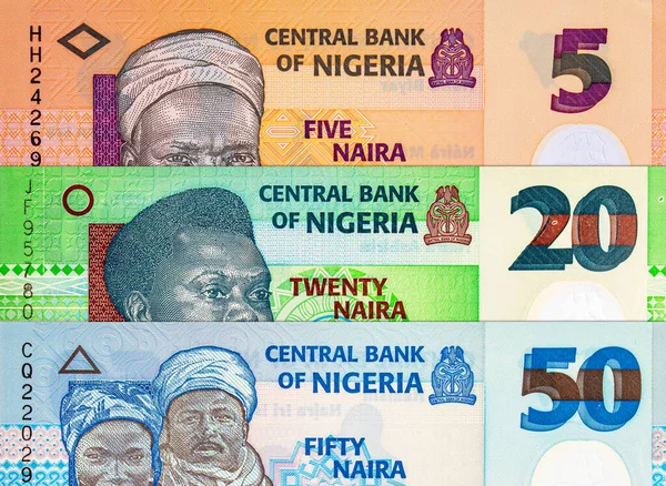 Naira Nijerya 'nın çeşitli banknotları. Afrika 'nın parası. Nijerya 'nın yeni polimer parası