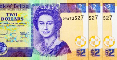 2 Dolar Belize ve Kraliçe II. Elizabeth 'in portresi. Belize 'nin parası. Büyük Britanya kolonilerinin parası..