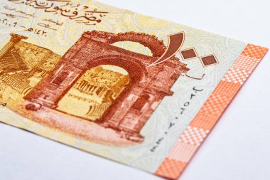 Suriye 'de 100 pound banknot, tasarımcılar için bir parça. Suriye 'nin kağıt parası.