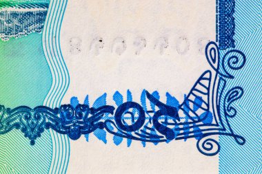 20 Taka, Bangladeş, 2025, tasarım için banknotun bir parçasının görüntüsü. Bangladeş 'in yeni kağıt parası.