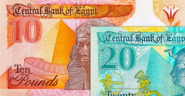 20 pound ve 10 pound Mısır. Mısır 'ın ulusal para birimi. Polimer para.