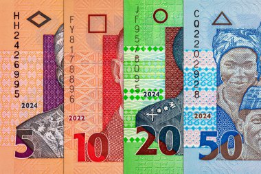 Naira Nijerya 'nın çeşitli banknotları. Afrika 'nın parası. Nijerya 'nın yeni polimer parası