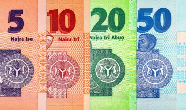 Naira Nijerya 'nın çeşitli banknotları. Afrika 'nın parası. Nijerya 'nın yeni polimer parası
