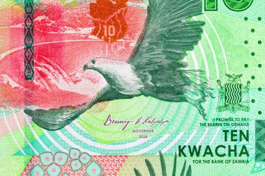 10 Kwacha Zambiya 'da baraj ve kartal resmi var. Zambiya ve Afrika 'nın parası.