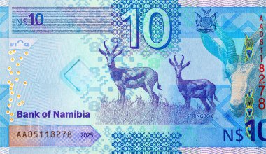 Namibya 10 dolar 2025 sentlik Springbok antilobu resmi. Yeni Namibya parası.