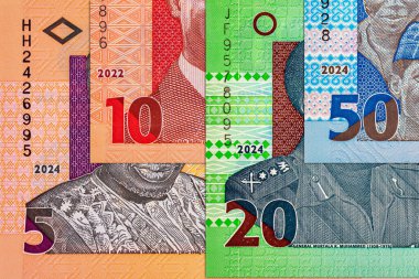 Naira Nijerya 'nın çeşitli banknotları. Afrika 'nın parası. Nijerya 'nın yeni polimer parası