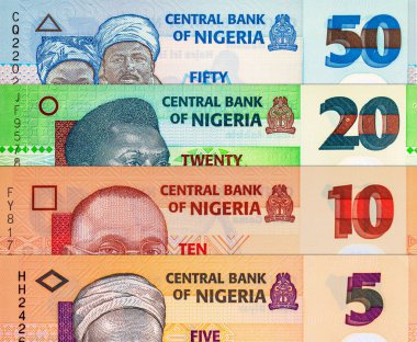 Naira Nijerya 'nın çeşitli banknotları. Afrika 'nın parası. Nijerya 'nın yeni polimer parası