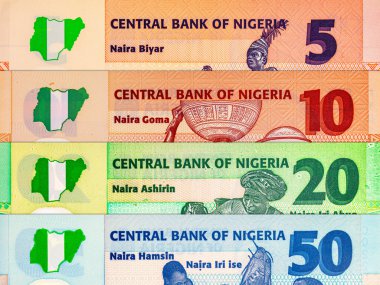 Naira Nijerya 'nın çeşitli banknotları. Afrika 'nın parası. Nijerya 'nın yeni polimer parası