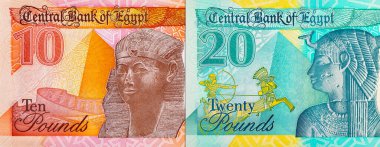 20 pound ve 10 pound Mısır. Mısır 'ın ulusal para birimi. Polimer para.