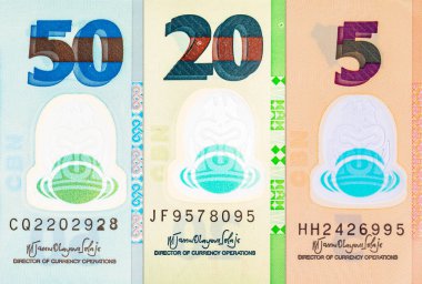 Naira Nijerya 'nın çeşitli banknotları. Afrika 'nın parası. Nijerya 'nın yeni polimer parası