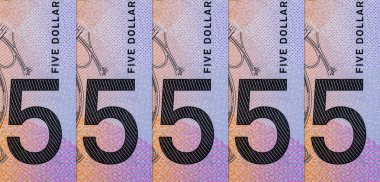 Canberra şehrindeki parlamento binasının görüntüsüyle 5 Dolar Avustralya. Polimer parası. Avustralya parası.