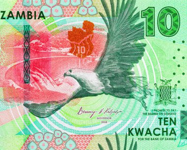 10 Kwacha Zambiya 'da baraj ve kartal resmi var. Zambiya ve Afrika 'nın parası.