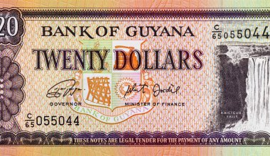 20 Dollars Guyana with the image of the Waterfall. Money of Guyana.
