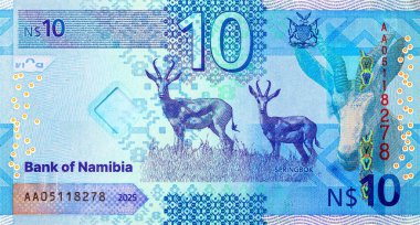 Namibya 10 dolar 2025 sentlik Springbok antilobu resmi. Yeni Namibya parası.