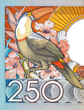 250 Gulden Surinam banknotunun Macro detayı. İçinde Toco Toucan ve hibiscus çiçeği var. Sirinam 'ın antika parası