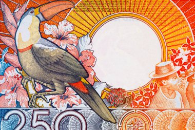 250 Gulden Surinam banknotunun ters tarafında bir Toucan ve sosyal bir toplantı sahnesi var. Surinam 'ın Vintage parası