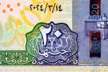 Tasarım için parçaları olan 20 Pound Mısır banknotu. Mısır 'ın parası.