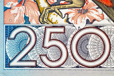 Surinam 'da Süslü Tasarım 250 Gulden Banknote. Vintage Suriname Parası