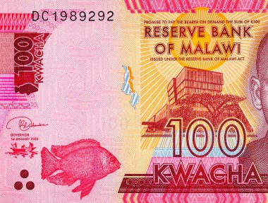 Malawian 100 Kwacha banknotundaki bir balığın makro detayları. Malavi ve Afrika parası.