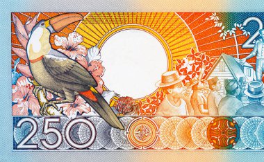 250 Gulden Surinam banknotunun ters tarafında bir Toucan ve sosyal bir toplantı sahnesi var. Surinam 'ın Vintage parası