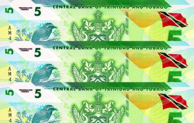 Trinidad ve Tobago 'nun Macro detayı. Ulusal Arma Arması' nın olduğu 5 dolarlık polimer banknot. Plastik para Trinidad ve Tobago