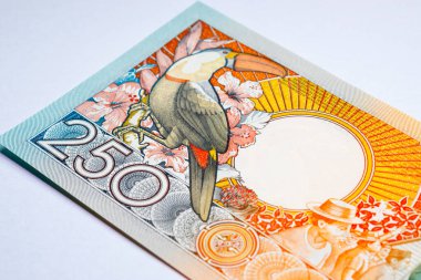 250 Gulden Surinam banknotunun ters tarafında bir Toucan ve sosyal bir toplantı sahnesi var. Surinam 'ın Vintage parası
