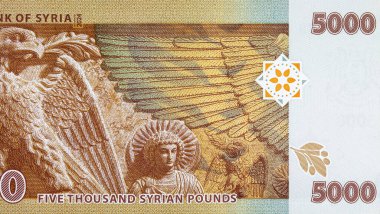 5000 Suriye Pound Banknotunda Salahaddin Kartalı ve Antik Palmira Rahatlaması yer alıyor. Suriye 'nin parası.