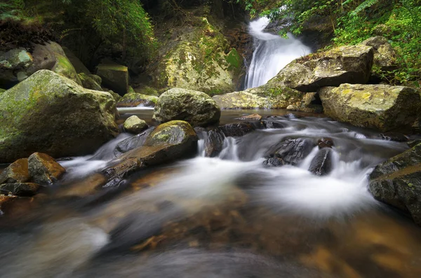 Prachtige diepe woud waterval — Stockfoto