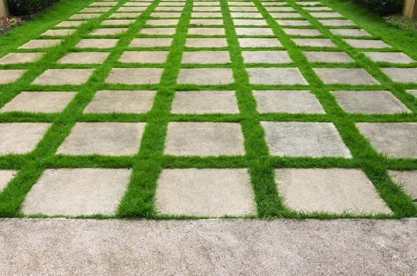 Weg mit grünem Gras. — Stockfoto