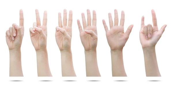 Female hands gesture set — Stock Photo, Image