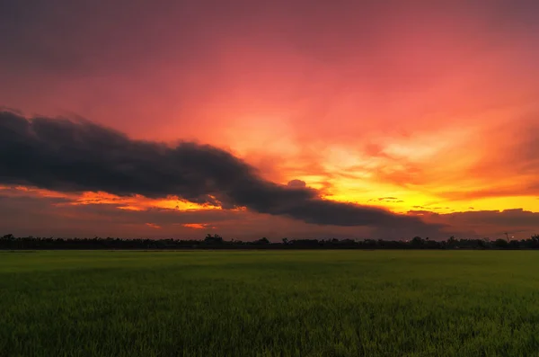 Çarpıcı akşam günbatımı gökyüzü — Stok fotoğraf