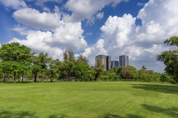 Green lawn in city park on sunny day