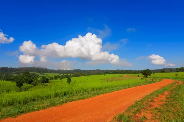 Road and Green grass field. — Stock Photo, Image