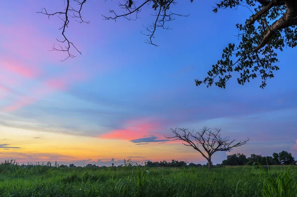 Gyönyörű színes naplemente — Stock Fotó