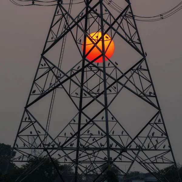 Siluetas de poste de alto voltaje — Foto de Stock