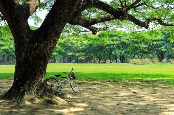 停在花园里的自行车. — 图库照片