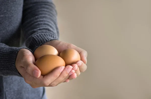 Świeże jaja organiczne. — Zdjęcie stockowe